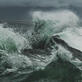 The Rising Tide